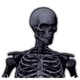 Nightmare Skeleton Race.png